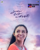 Anel Meley Panithuli (2022) WEB-DL 480p | 720p | 1080p